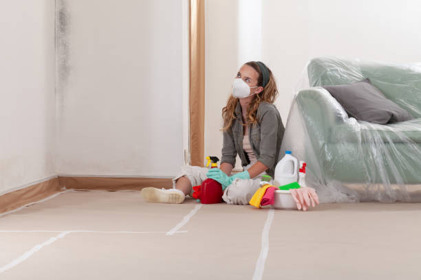 Reliable Mold Remediation contractor in Maple Grove, MN by WQB Mold Removal